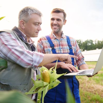 Crop plant examined by two farmers